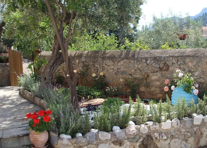 Διαμέρισμα The Studio,